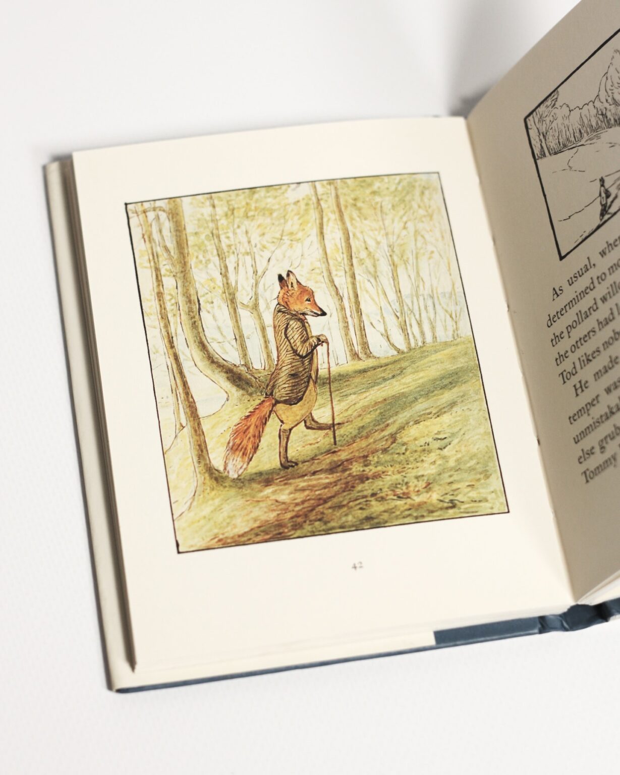 Beatrix Potter, The Tale Of Mr. Tod - Зображення 2